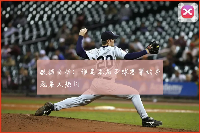 数据分析：谁是本届羽球赛事的夺冠最大热门